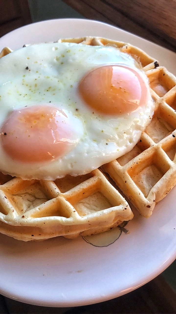 EASY 1 Carb Protein&nbsp;Waffles